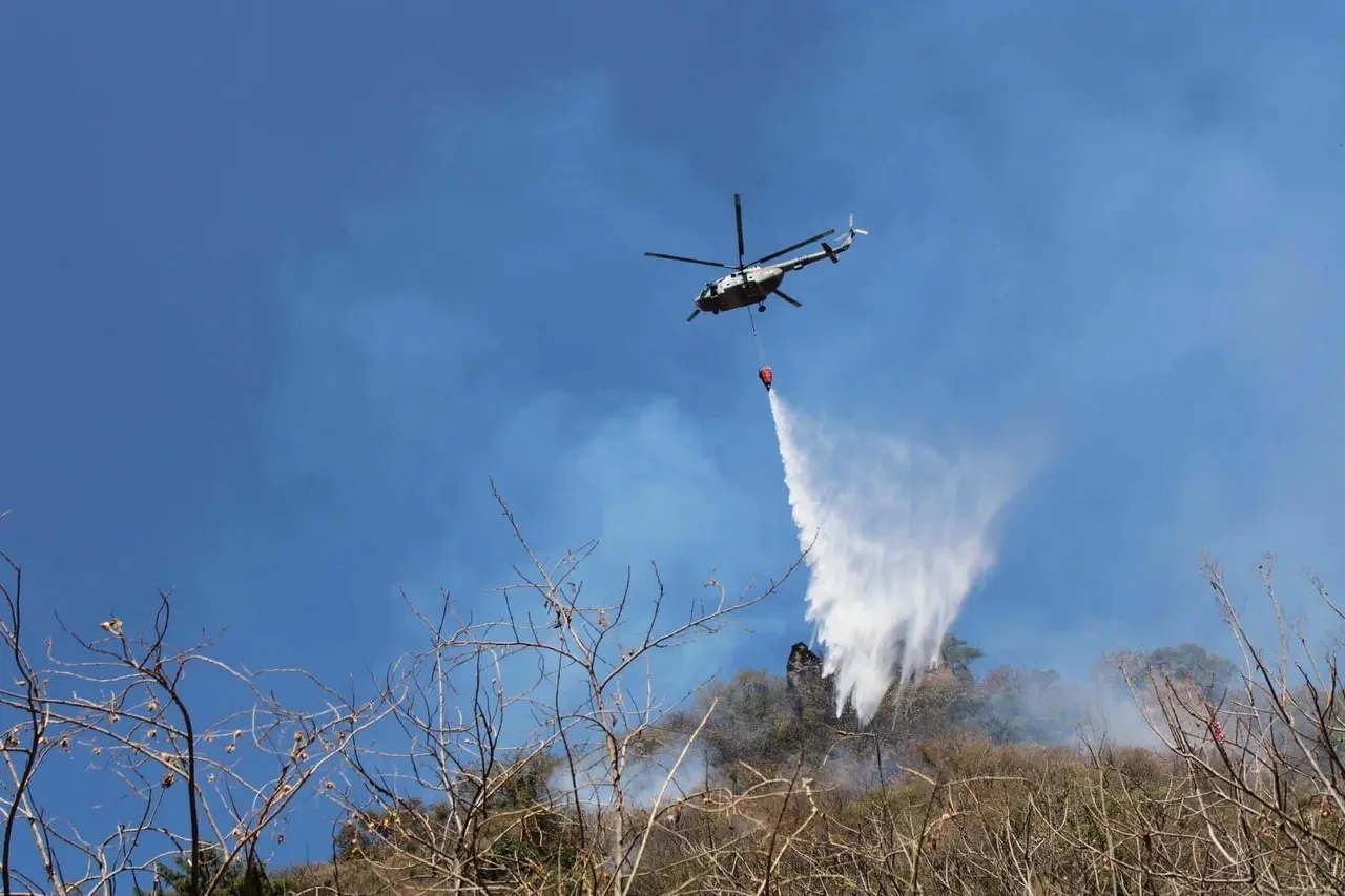 ¿Por qué ocurren los incendios forestales?