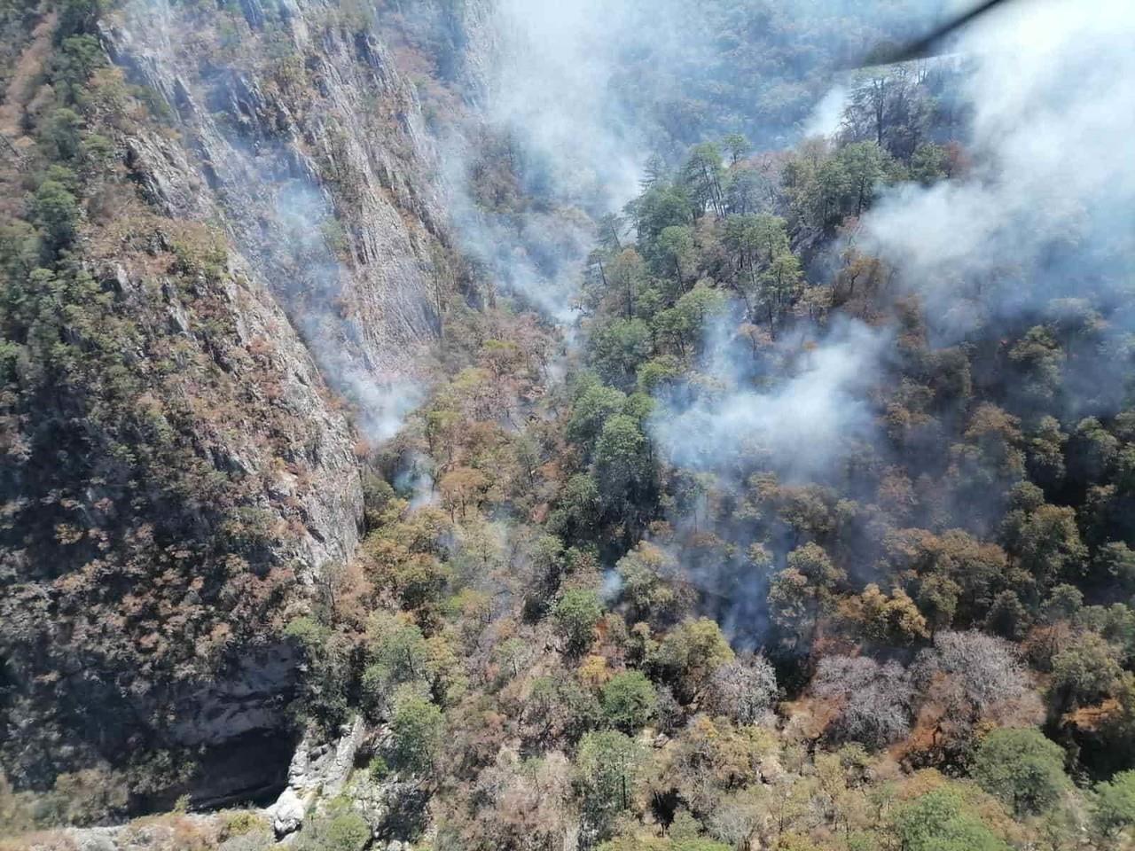 Ponen denuncia penal por incendio en sierra de Santiago, Nuevo León