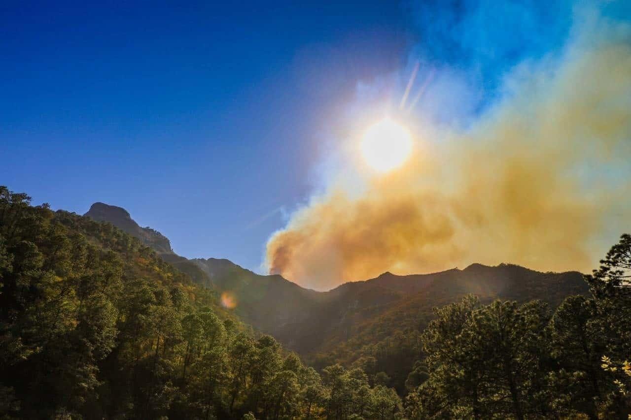 Arrasa incendio forestal con 160 hectáreas en sierra de Santiago