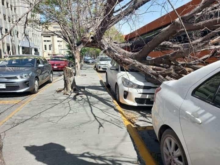 Tumba aironazo postes y causa daños en San Nicolás