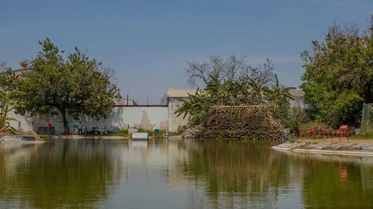 ¡Pescando un break! ¿Conoces el lago de pesca Ciudad Deportiva Monterrey?