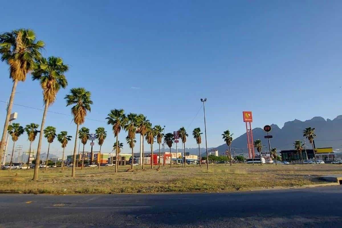 Tiene Monterrey déficit de 400 hectáreas de áreas verdes