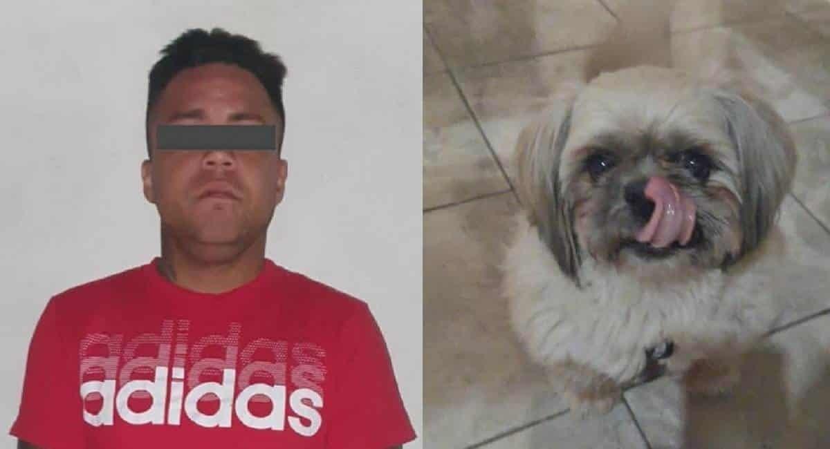 ¡Se lleva hasta el perro! Capturan a presunto ladrón en Salinas Victoria