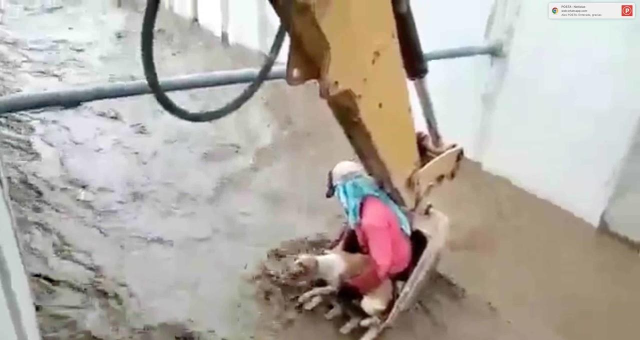 ¡Con excavadora! Así realizaron el rescate de una mascota