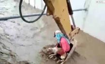 ¡Con excavadora! Así realizaron el rescate de una mascota