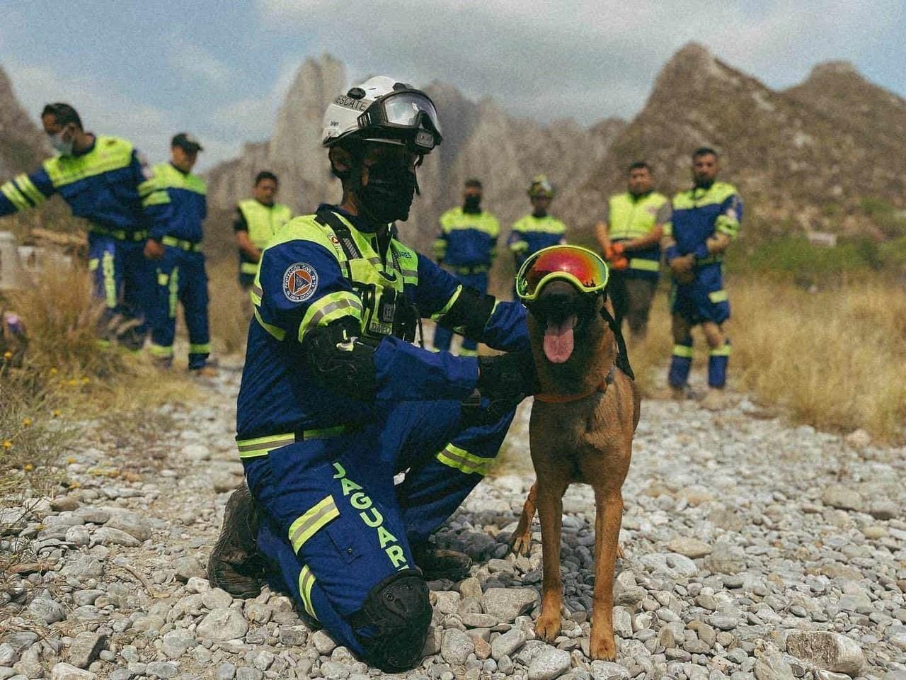 Hoy es el Día Internacional del Perro Rescatista