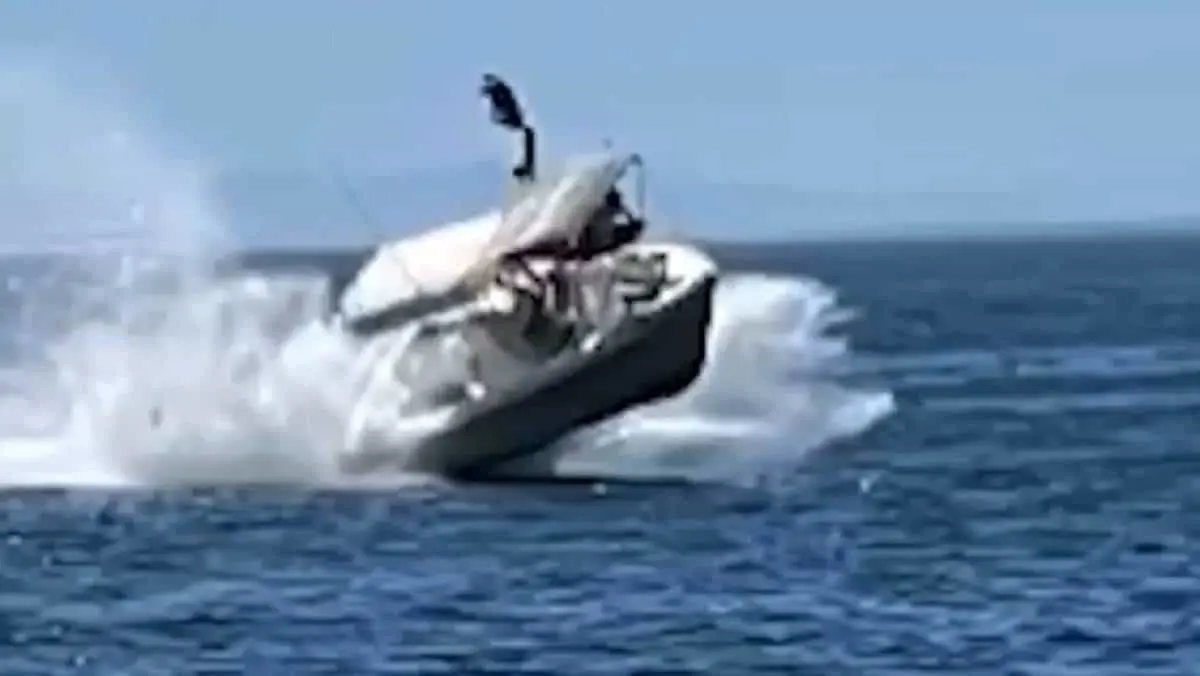 Choca embarcación con una ballena en BCS; hay 6 heridos
