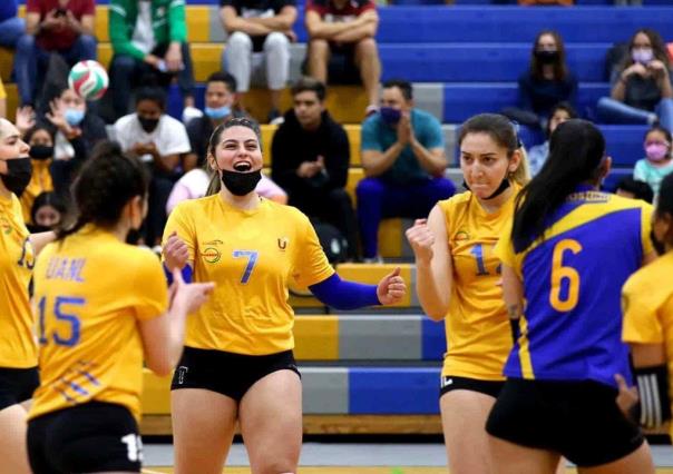Buscan el oro, equipos de voleibol de la UANL