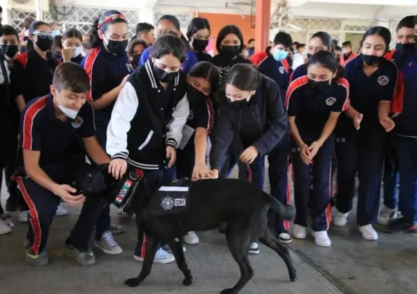 Aplica Guadalupe “Plan Control” contra violencia