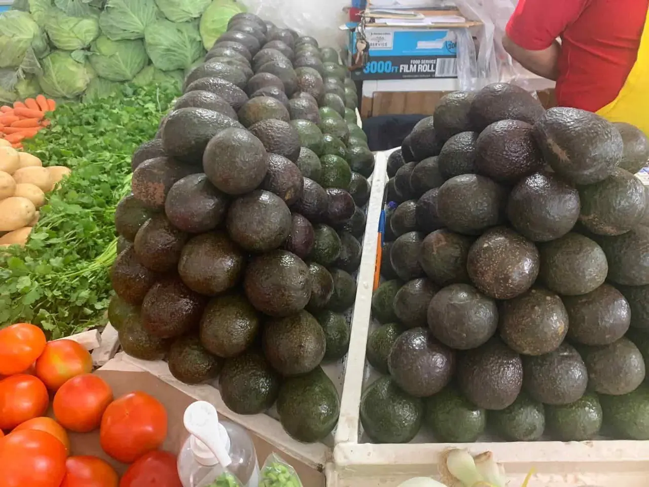 Se dispara precio del aguacate se vende en 150 pesos el kilo