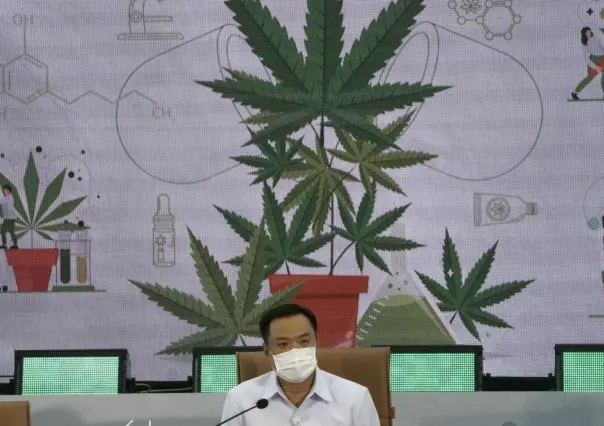 Distribuirá Tailandia 1 millón de plantas de marihuana gratis