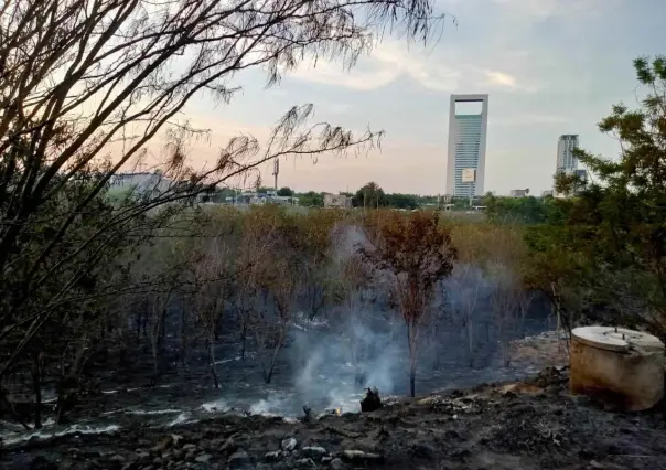 Sofocan incendio en el lecho del río Santa Catarina