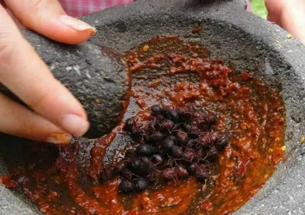 ¿Conoces la salsa de hormigas chicatanas?