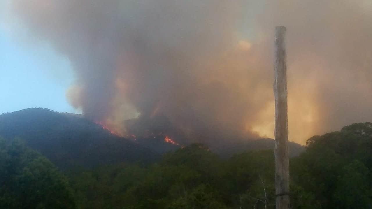 Alerta por incendio en la sierra de Arteaga, Coahuila