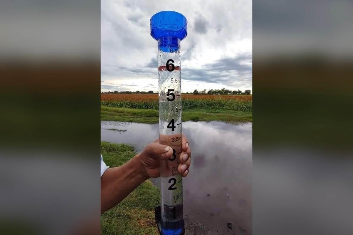 Agricultores de Matamoros están felices por las lluvias registradas
