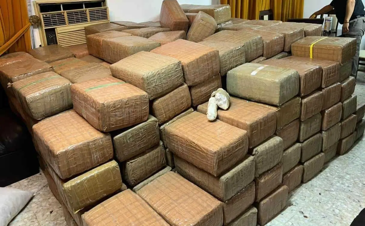 Asegura FGR más de una tonelada de droga en Guadalupe