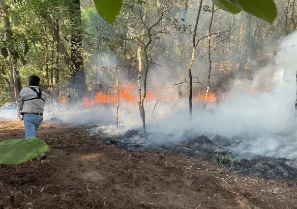 Afectan 54 incendios forestales activos a México