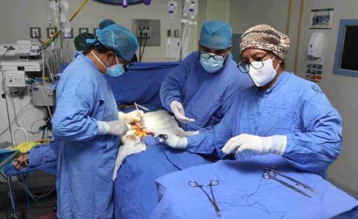 Realiza IMSS mil 32 trasplantes en menos de 5 meses