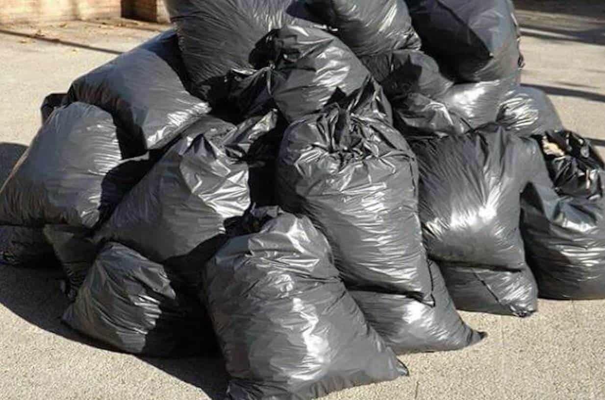 Hallan 40 bolsas con restos de perros muertos en Edomex