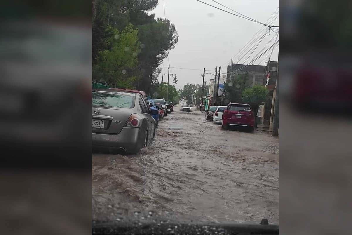 Azota tormenta en región citrícola del Estado