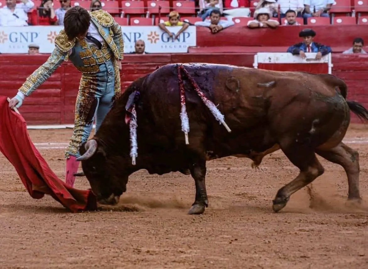 Suspenden indefinidamente corridas de toros en la Plaza México