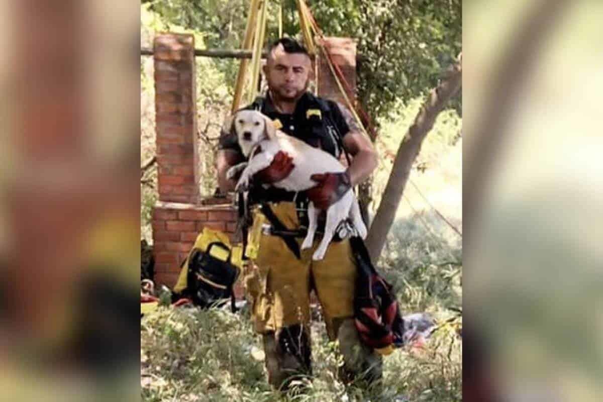 Protección Civil rescatan a perro atrapado en noria de Guadalupe