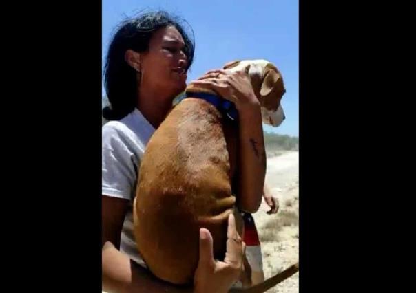 Max el perro migrante se reencuentra con su familia en Texas