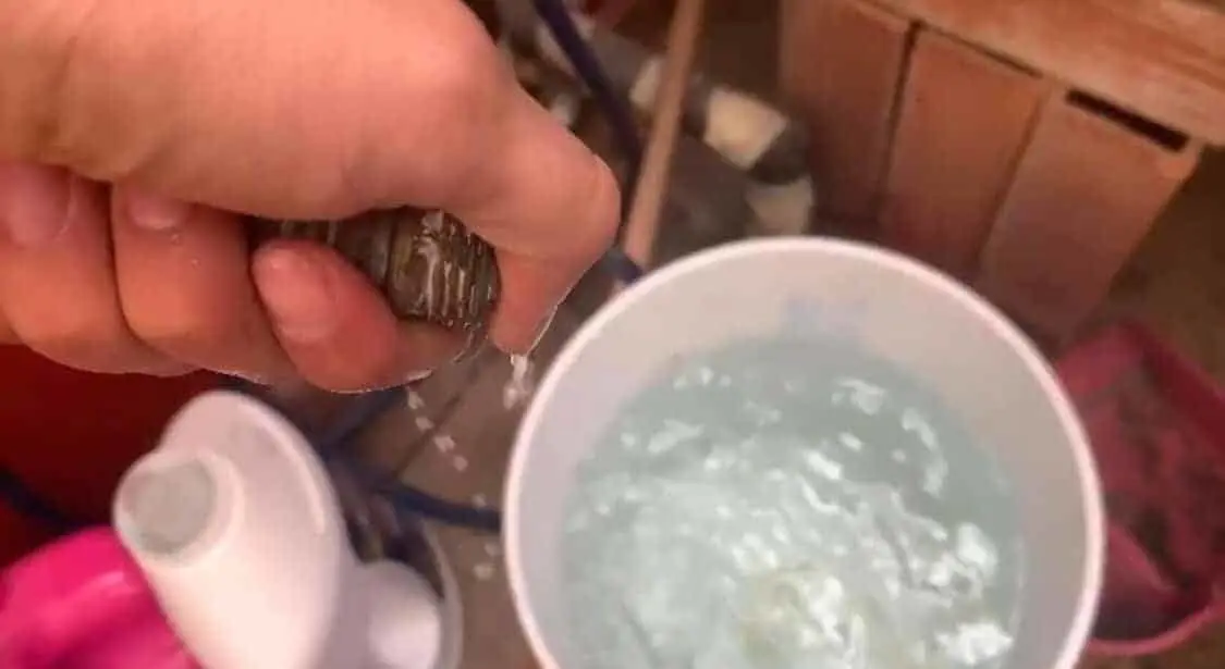 ¡Atención! Esto es lo que debes saber al momento de almacenar agua