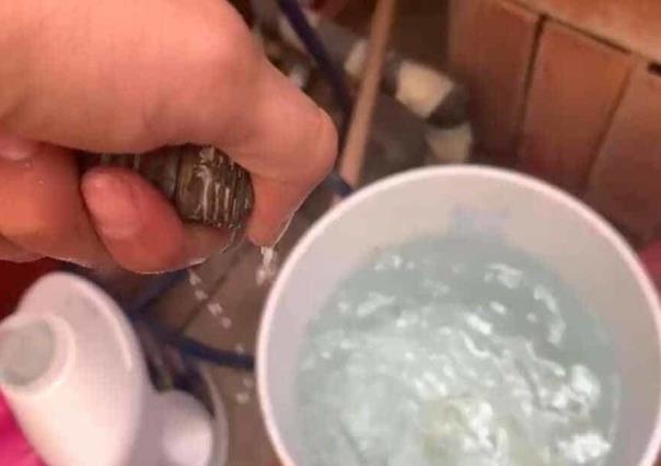 ¡Atención! Esto es lo que debes saber al momento de almacenar agua