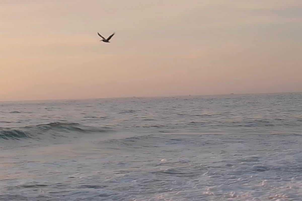 Buscan incorporar 12 días de vacaciones en reforma de Ley del Trabajo