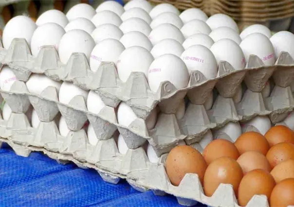 Inflación se ubica en 8.16% en primera quincena de julio