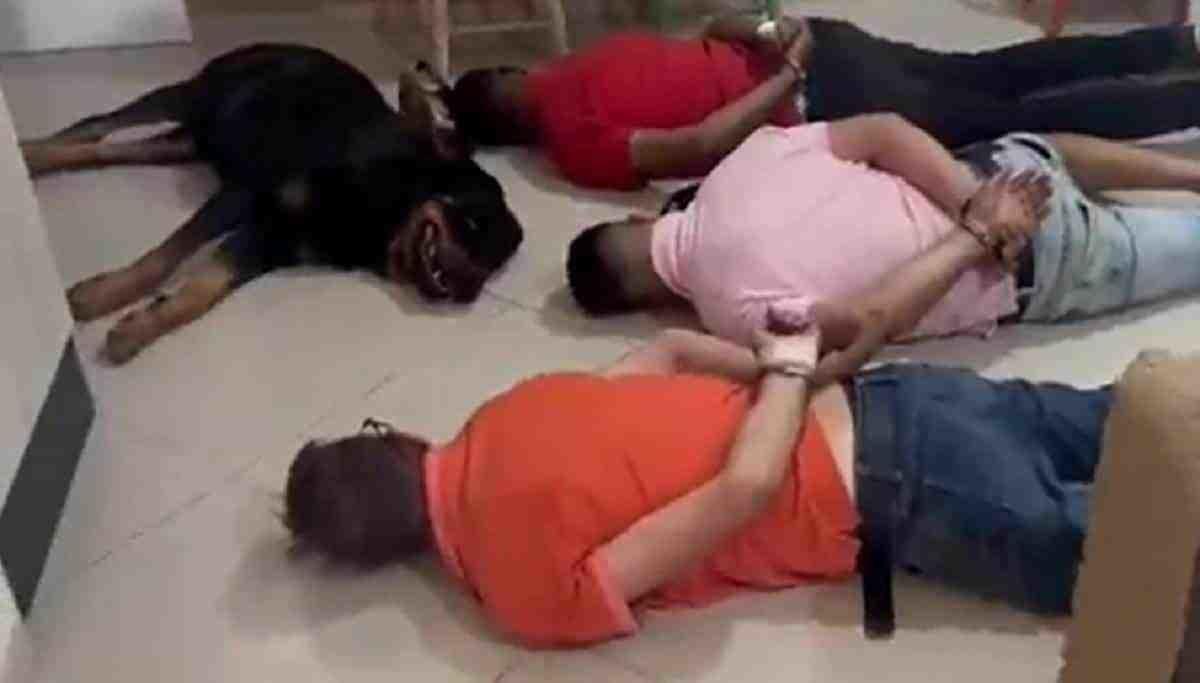 VIDEO: Perro Rottweiler se rinde en operativo contra narcos