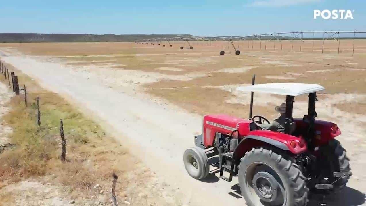 Un agricultor en crisis de sequía en Nuevo León