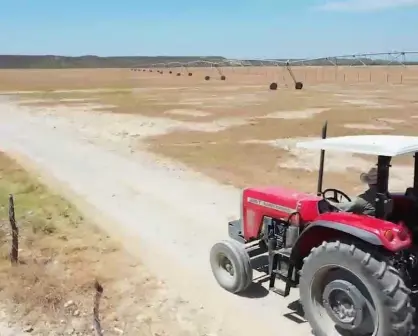 Un agricultor en crisis de sequía en Nuevo León