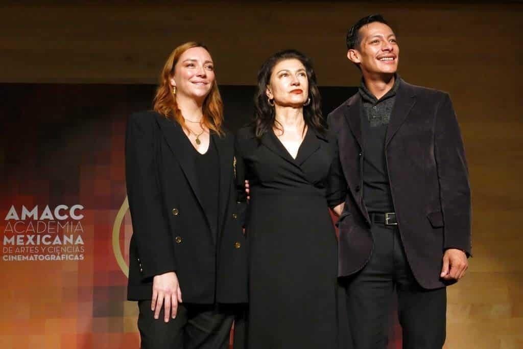 “Noche de fuego” se lleva 19 nominaciones al Premio Ariel