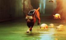 Stray un juego sensación que ayuda a los gatitos en la vida real