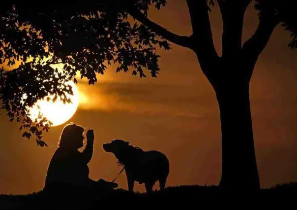 ¡Aguas! Piden a contagiados de viruela símica alejarse de mascotas