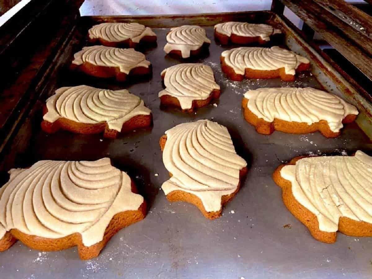 Y para la merienda... ¡Llegaron las puerconchas!