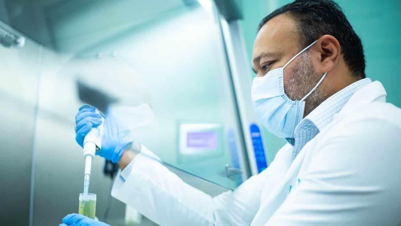 Investigadores de la UANL crean bioimplante para rodilla