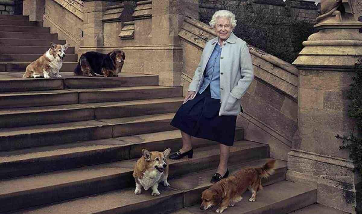 ¿Qué pasará con los perritos corgis de la reina Isabel II?