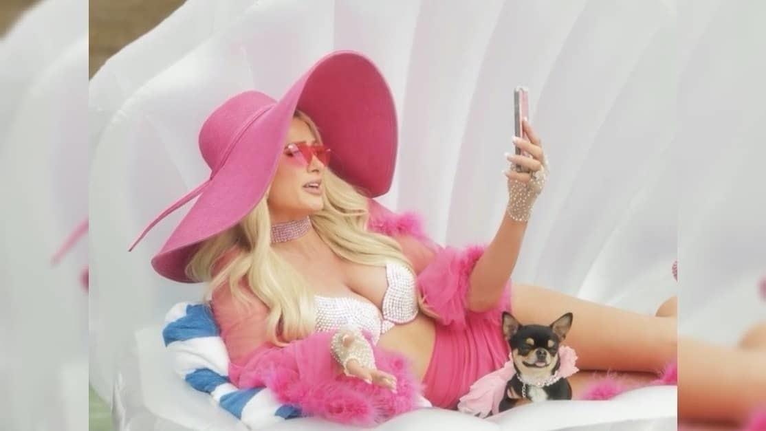 Drones y detectives buscan a perrita de Paris Hilton, hay recompensa