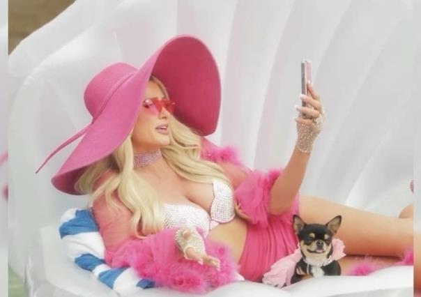 Drones y detectives buscan a perrita de Paris Hilton, hay recompensa