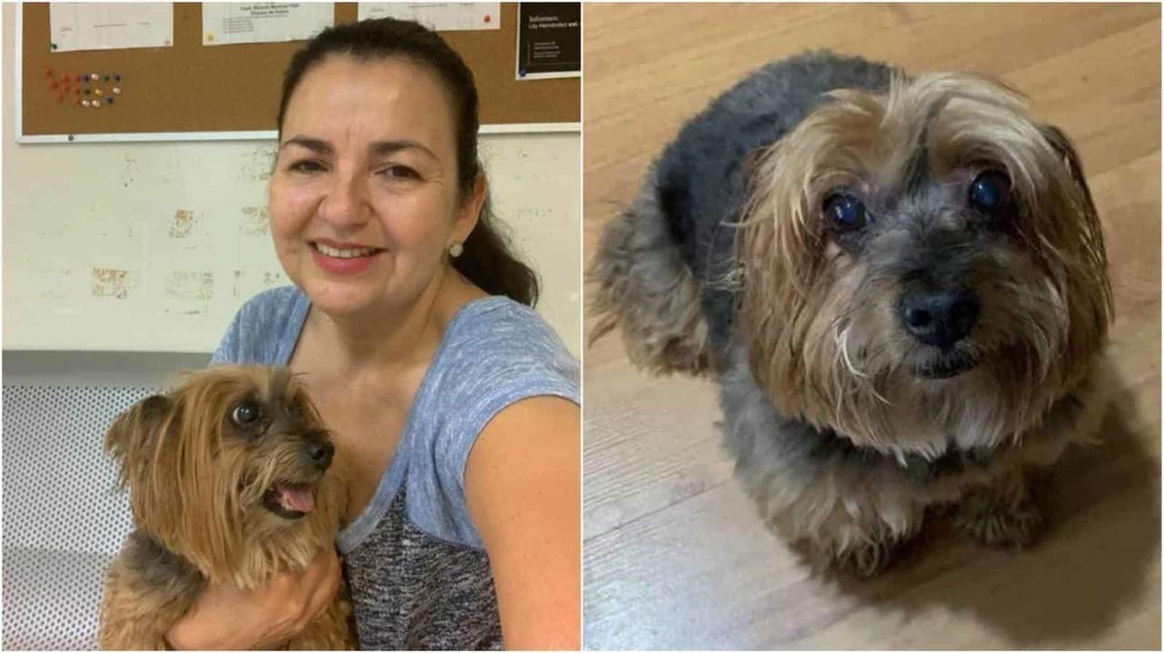 ¡Localizan a Harry!, policía de San Pedro logran ubicarlo