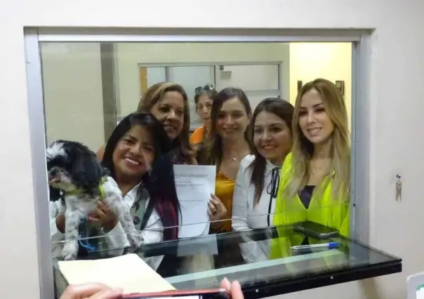 Promueven legisladoras figura de Rescatista Animal Independiente en NL