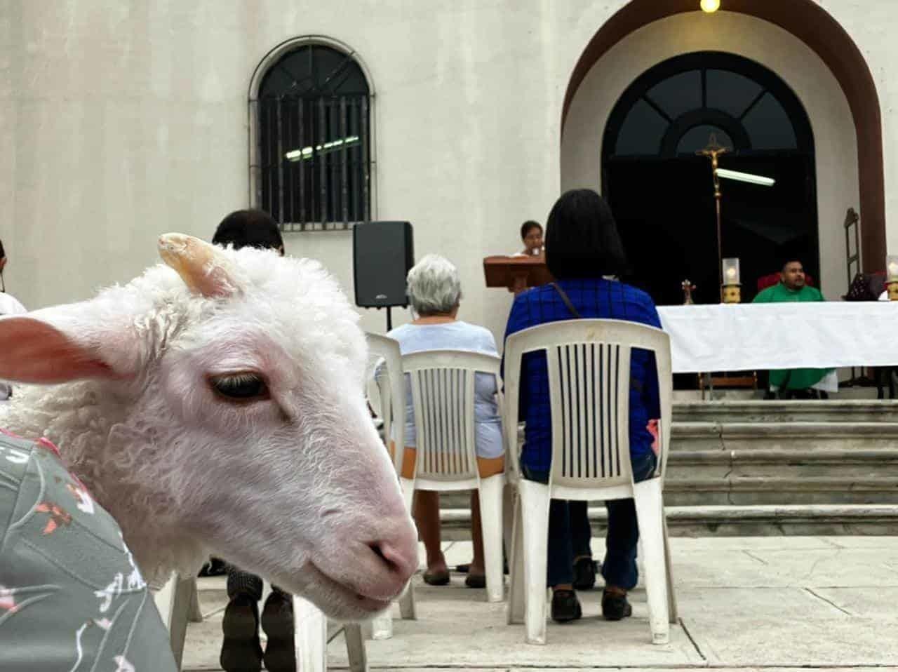 Bendicen mascotas en iglesia católica de San Nicolás