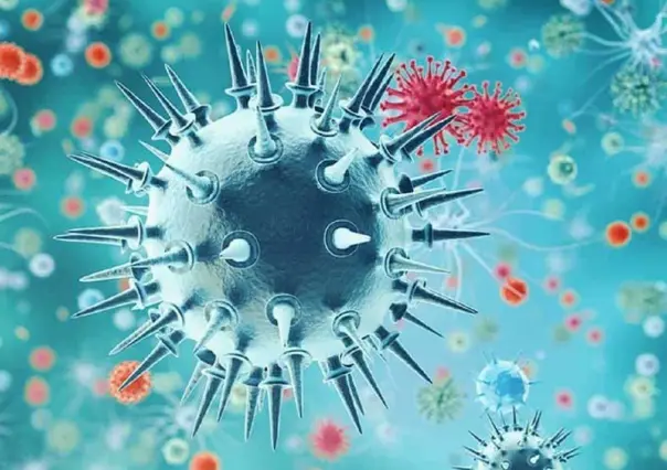 ¡Otro virus! Detectan influenza aviar AH5N1 en México