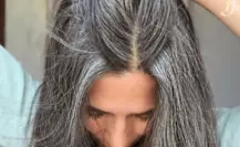 Estudio de la UNAM revela porqué la cabeza se llena de canas