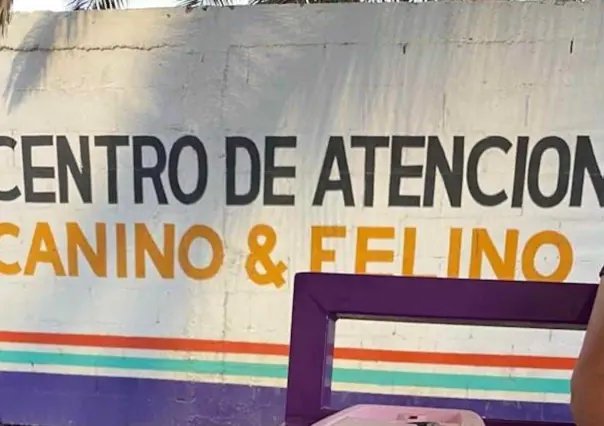 Buscan a responsables del crimen de un perro que dejaron colgado en escuela