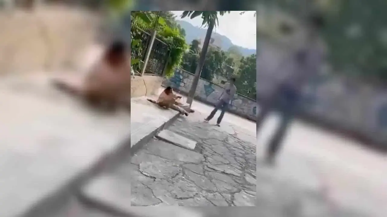 Joven da golpiza a persona de la tercera edad en Hidalgo