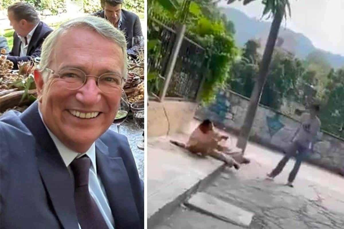 Así reaccionó Ricardo Salinas Pliego al caso de jóvenes golpeadores